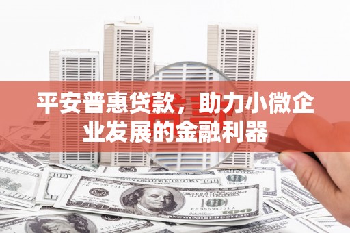 寿丰平安普惠贷款，助力小微企业发展的金融利器