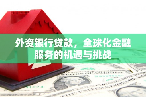 寿丰外资银行贷款，全球化金融服务的机遇与挑战