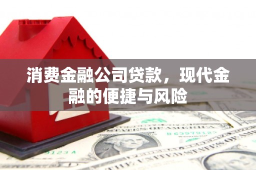 寿丰消费金融公司贷款，现代金融的便捷与风险