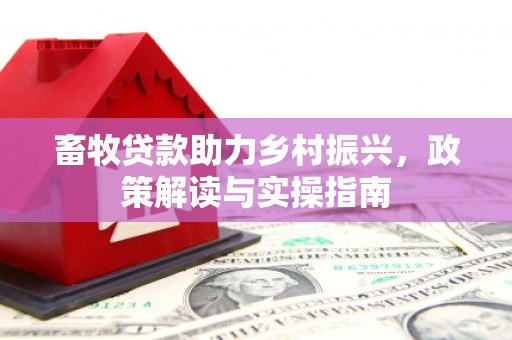 寿丰畜牧贷款助力乡村振兴，政策解读与实操指南