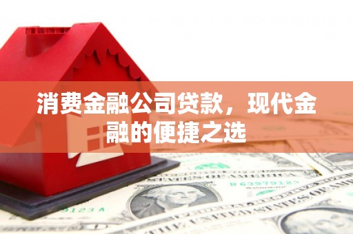 寿丰消费金融公司贷款，现代金融的便捷之选