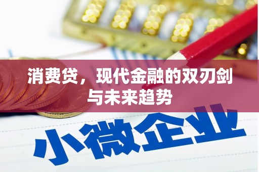 寿丰消费贷，现代金融的双刃剑与未来趋势