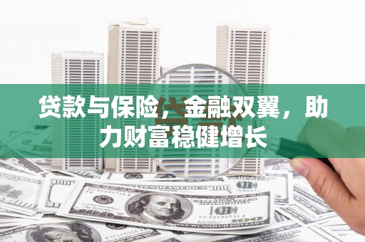 寿丰贷款与保险，金融双翼，助力财富稳健增长