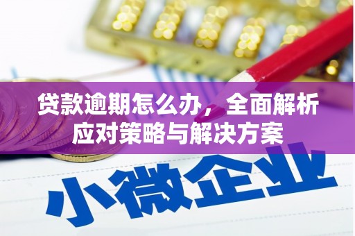 寿丰贷款逾期怎么办，全面解析应对策略与解决方案