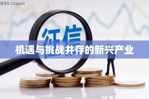 寿丰机遇与挑战并存的新兴产业