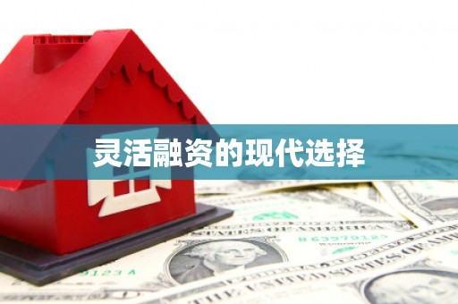 寿丰灵活融资的现代选择