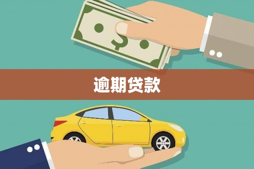 寿丰逾期贷款