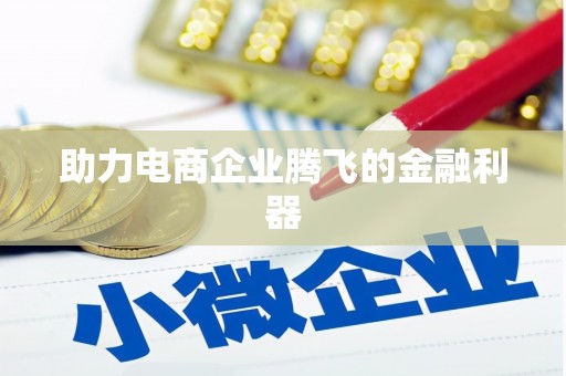 寿丰助力电商企业腾飞的金融利器