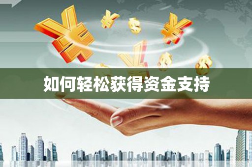 寿丰如何轻松获得资金支持