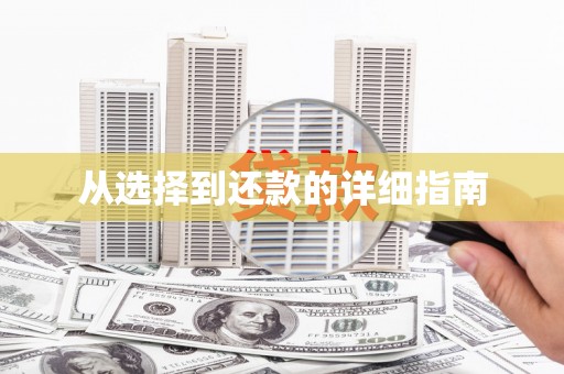 寿丰从选择到还款的详细指南