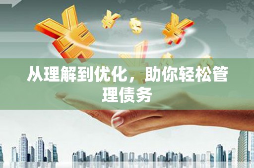 寿丰从理解到优化，助你轻松管理债务
