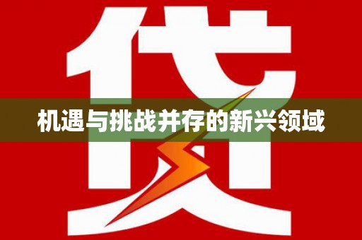 寿丰机遇与挑战并存的新兴领域