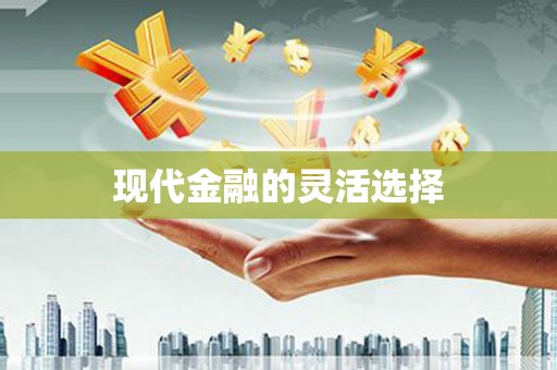 寿丰现代金融的灵活选择