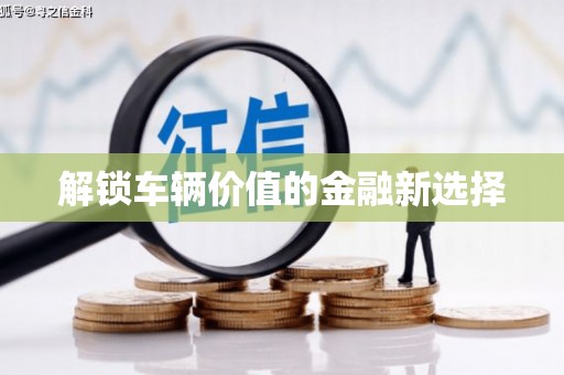寿丰解锁车辆价值的金融新选择