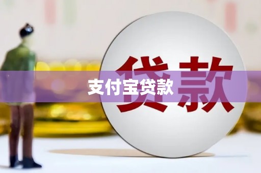 寿丰支付宝贷款