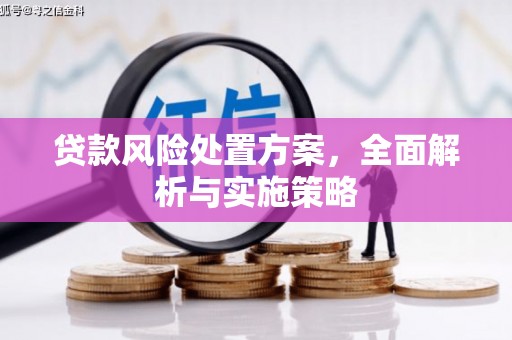 寿丰贷款风险处置方案，全面解析与实施策略