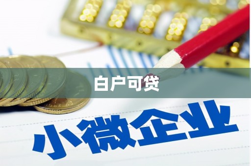 寿丰白户可贷