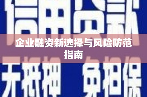寿丰企业融资新选择与风险防范指南