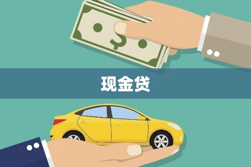 寿丰现金贷
