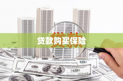 寿丰贷款购买保险