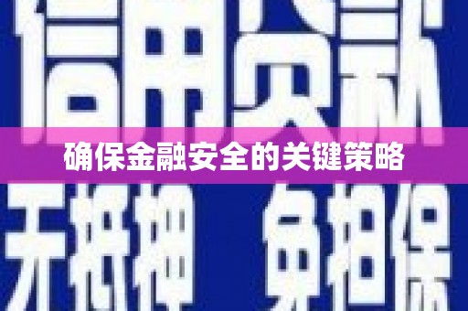 寿丰确保金融安全的关键策略