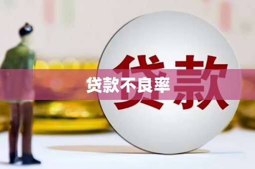 寿丰贷款不良率