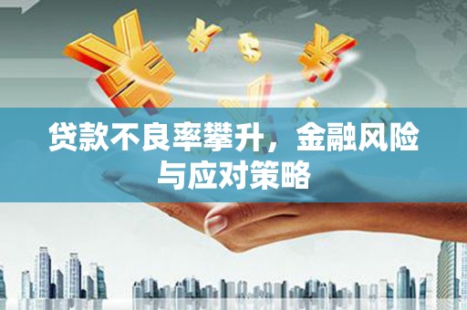 寿丰贷款不良率攀升，金融风险与应对策略